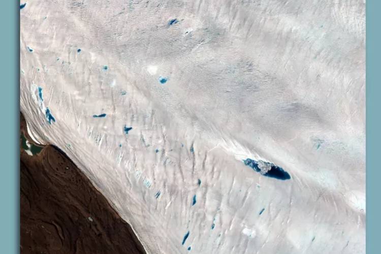 น้ำแข็งกรีนแลนด์ละลายเร็วเข้าขั้นวิกฤติในฤดูร้อนปีนี้